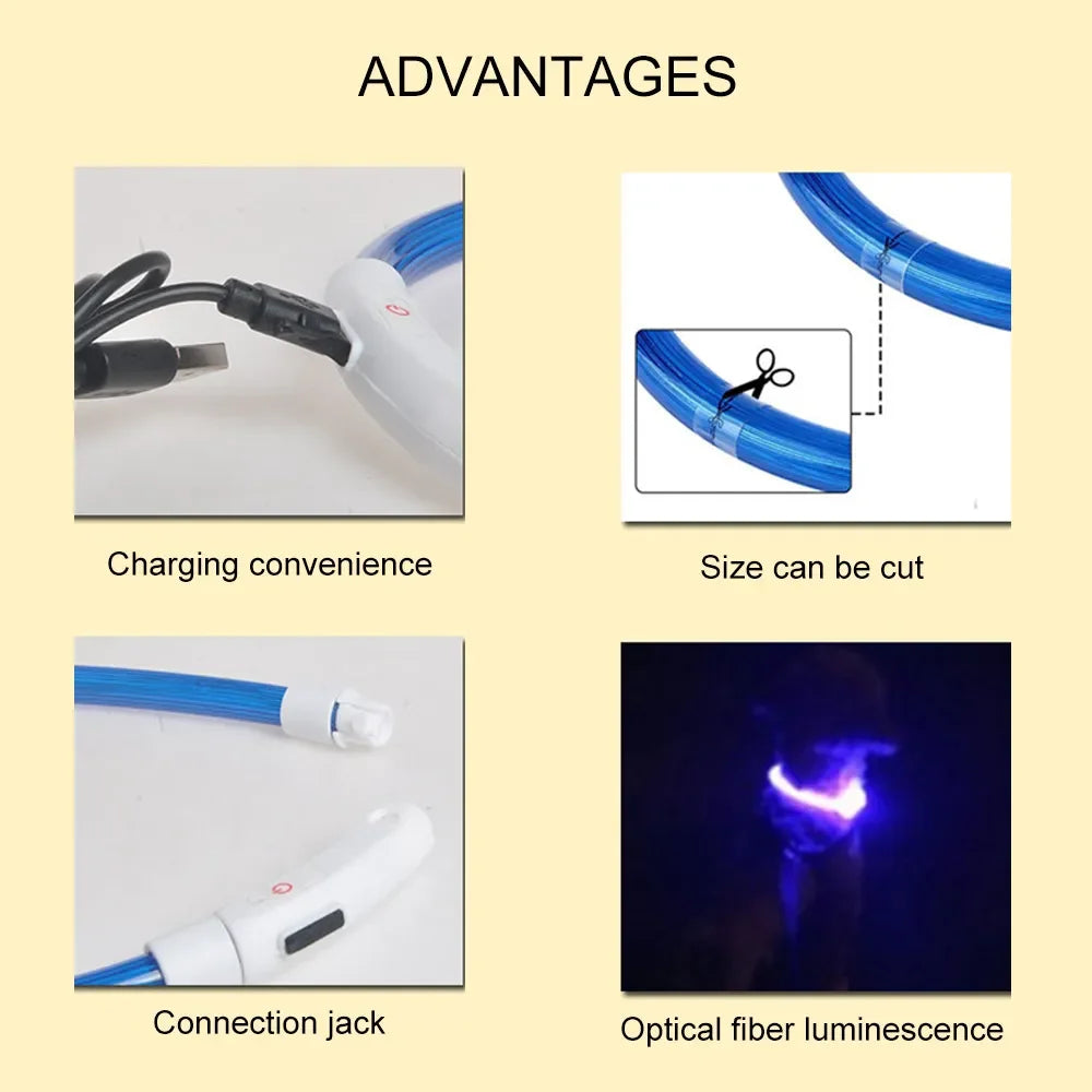 Light-Up Pet Collar 3 Mode LED Safety Collar