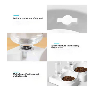 Double Cat Bowls with Auto Water Bottle – Raised & Tilted