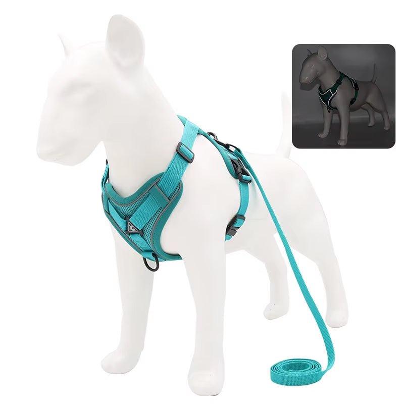 Side view of teal dog harness with leash – adjustable and no-choke design