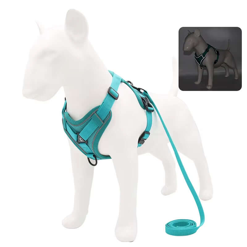 Teal no-choke harness with leash – breathable mesh vest for dogs
