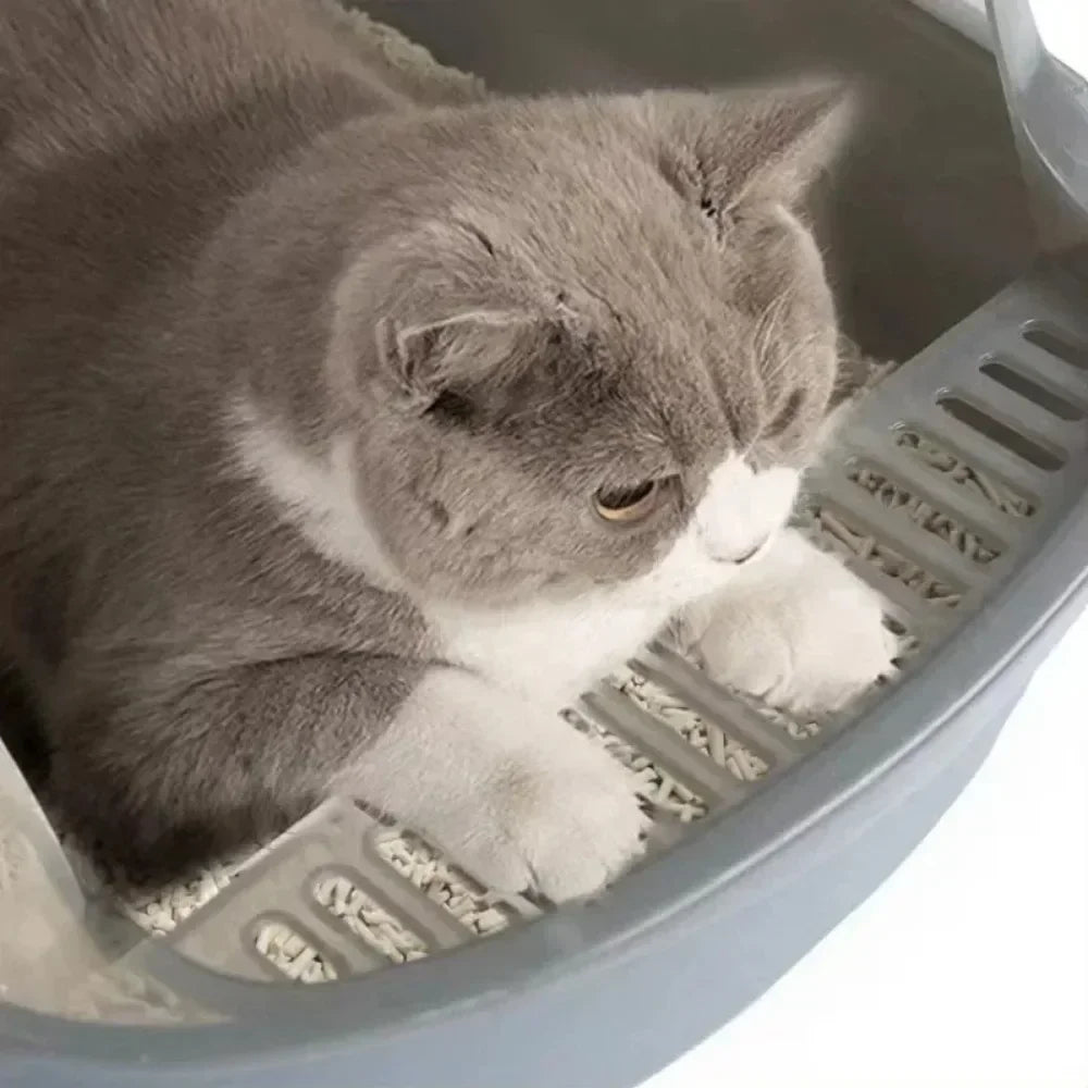 Splashproof Kitty Sandbox – High Side Cat Toilet