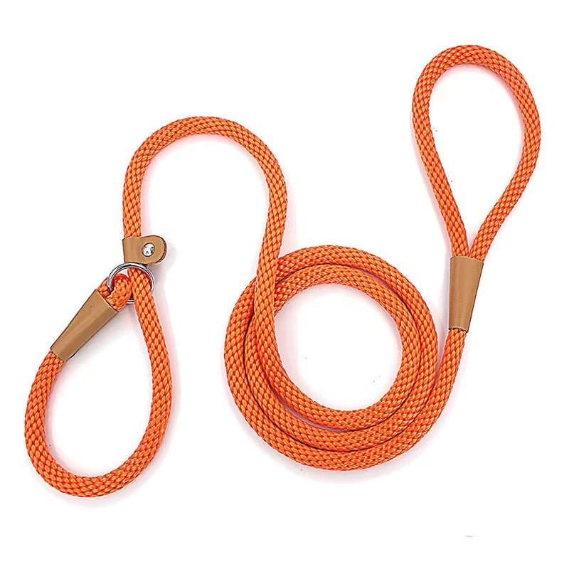 Dog Slip Lead & Leash – Adjustable No-Pull Rope