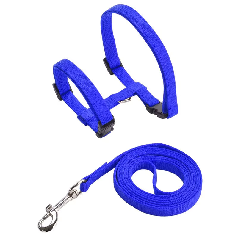 Sphynx Cat Harness & Leash Set – Comfortable & Secure