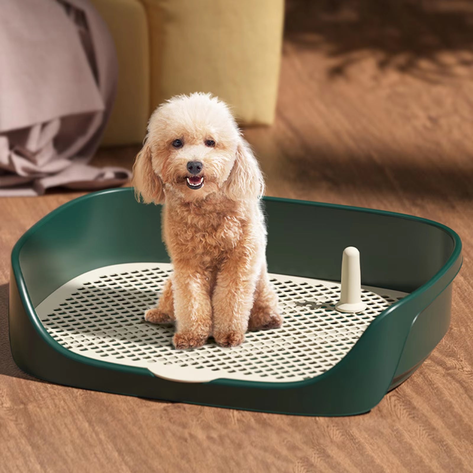 Portable Dog Potty Trainer – Anti-Splash Toilet for Pets
