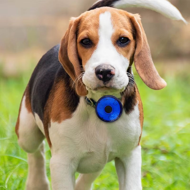 Pet Safety LED Pendant  USB Dog Collar Accessory