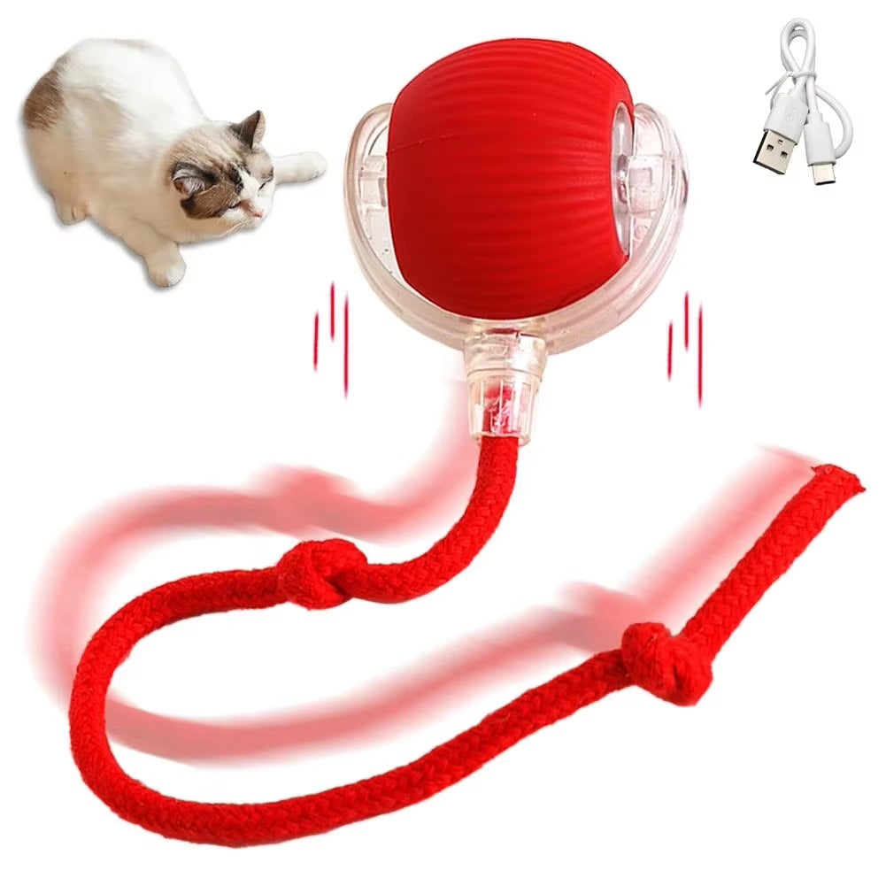 Automatic Rolling Ball Pet Toy Rechargeable & Smart