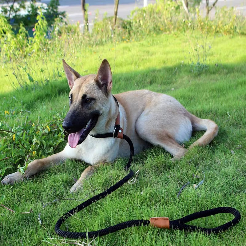 Dog Slip Lead & Leash – Adjustable No-Pull Rope