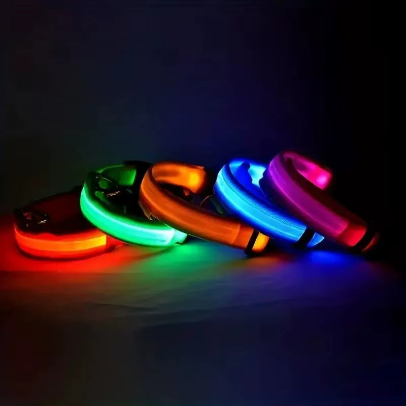 LED Nylon Dog Leash Glow in the Dark Safety
