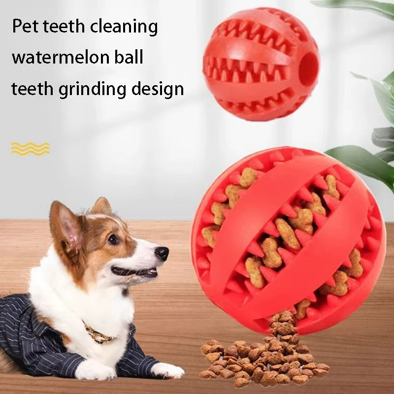 Rubber Dog Chew Ball – Tough Treat Toy