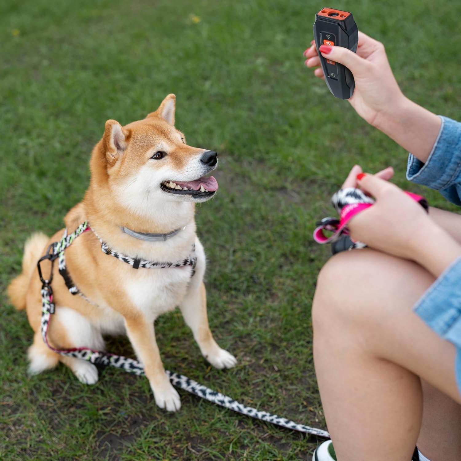 Ultrasonic Dog Bark Control Training Whistle
