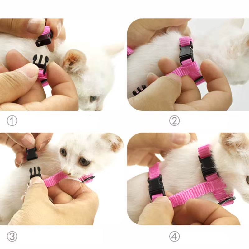 Cute Cat Harness with Leash – Angel Wings Design