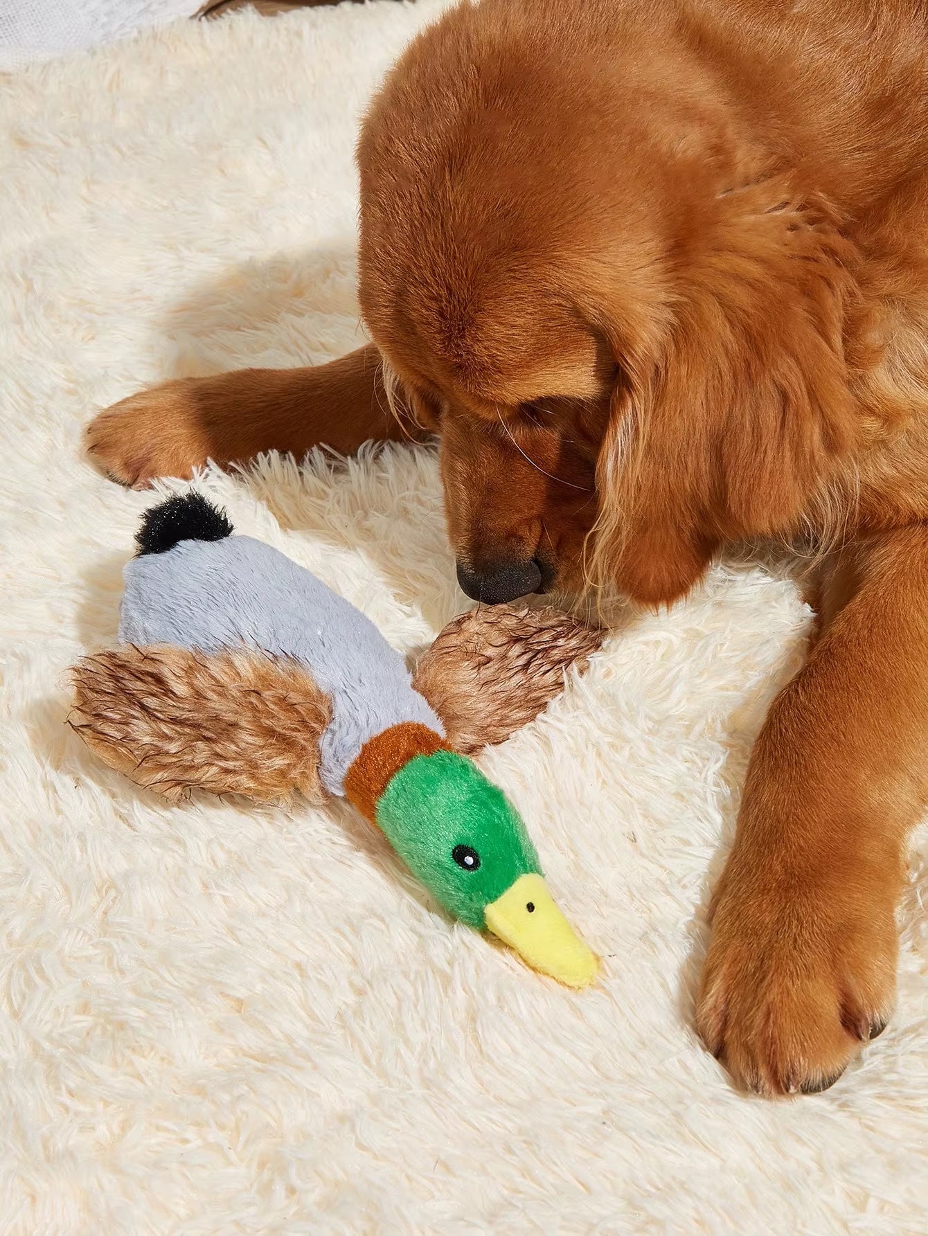 Wild Duck Dog Toy – Soft Chew Plush Toy