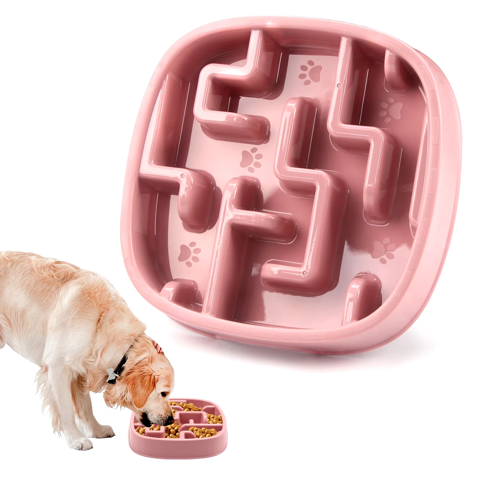 SlowPaws Anti-Choke Feeder Bowl