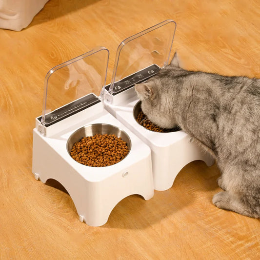 Gray Cat Eating from Dual Smart Pet Feeder – Auto Sensor Lid Cat Food Bowl with Anti-Mouse Protection
