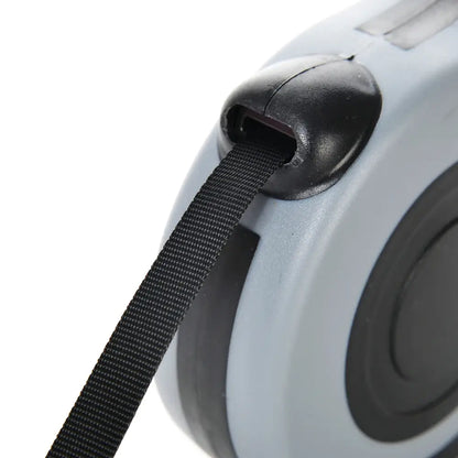 Close-up of retractable dog leash showing black flat strap emerging from the case on a white background